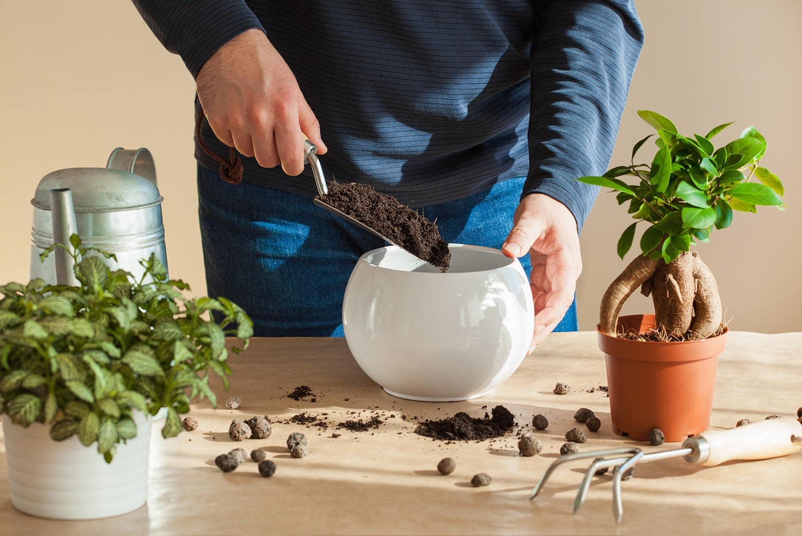 Attrezzi e utensili per bonsai - Hobby Bonsai